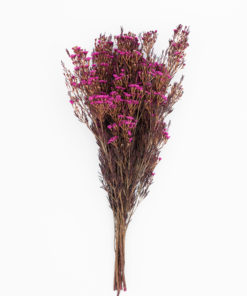 Alternative view of Best Wax Flowers Stems - Pack of 7