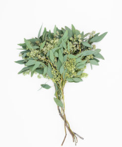 Alternative view of Best Seeded Eucalyptus Stems - Pack of 5