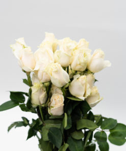 Alternative view of Best Rose Stems - Pack of 25