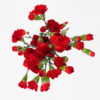 Best Mini Carnation Stems