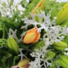 Luxury Andean Lilies Bouquet
