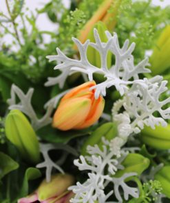 Luxury Andean Lilies Bouquet