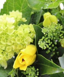 Magnificent Andean Variety Bouquet