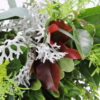 Special Andean Greens Bouquet